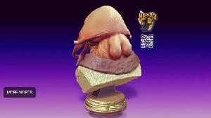 Tessek 1:2 Scale Bust